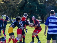 NZL CAN Christchurch 2018APR23 GO Dingoes v AllKyoto 073 : - DATE, - PLACES, - SPORTS, - TRIPS, 10's, 2018, 2018 - Kiwi Kruisin, Alice Springs Dingoes Rugby Union Football Club, All Kyoto Senior Ma-I-Ko, April, Canterbury, Christchurch, Day, Golden Oldies Rugby Union, Japan, Monday, Month, New Zealand, Oceania, Rugby Union, South Hagley Park, Teams, Year